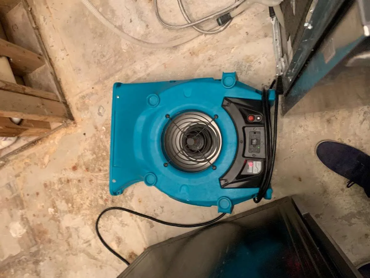 Air mover drying equipment for Mold Remediation & Removal in Brooksville